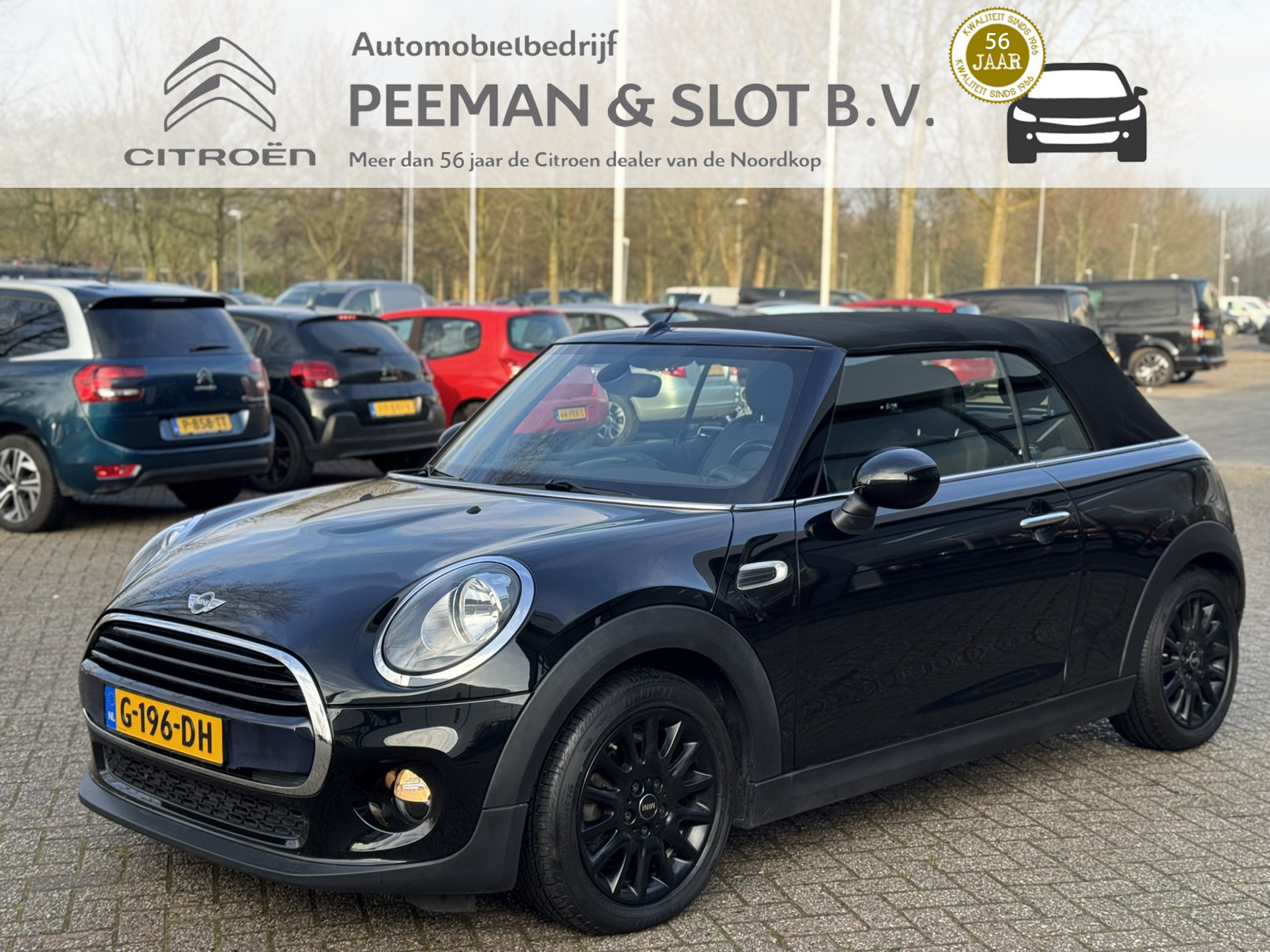 MINI Cabrio 1.5 Cooper Pepper Serious Business Leder|