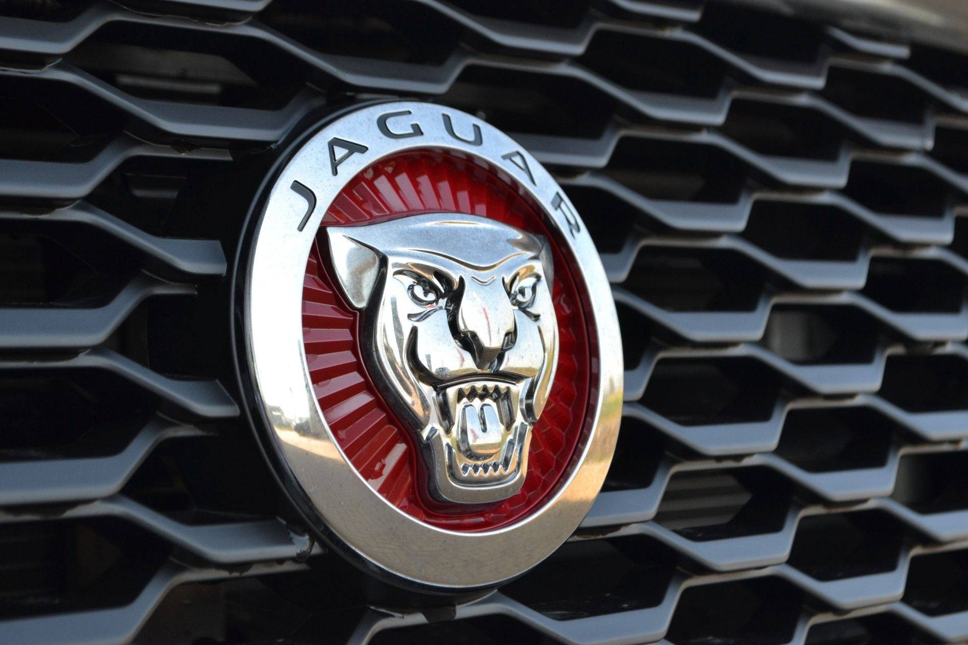 Jaguar E-Pace 2.0 P200 Premium Edition AWD - 13/32