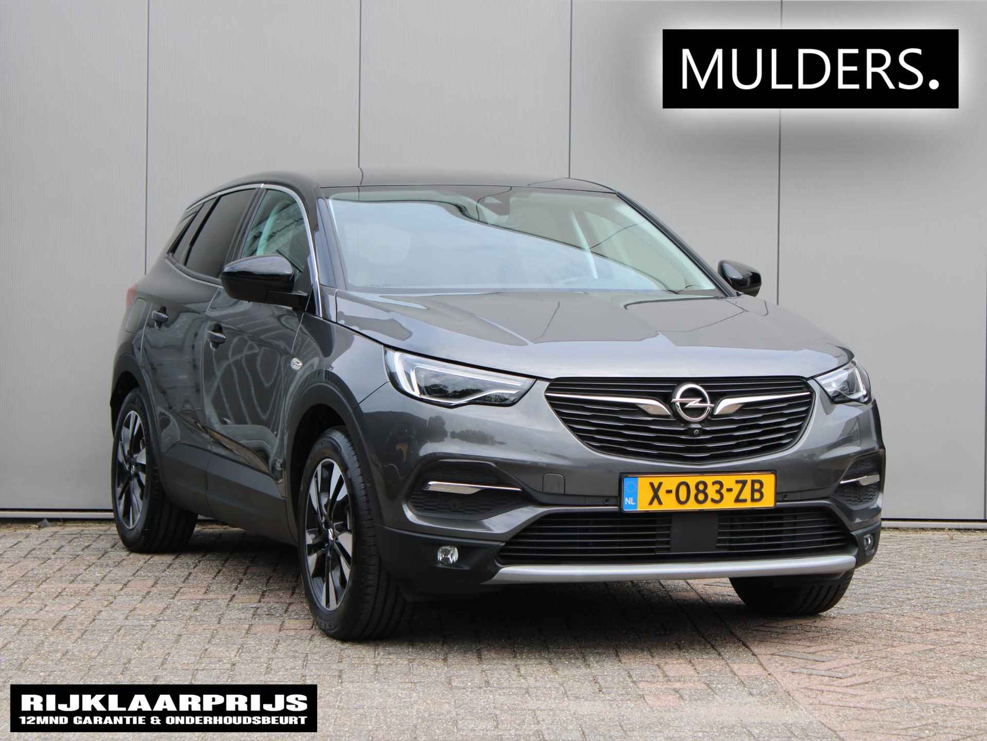 Opel Grandland X BOVAG 40-Puntencheck