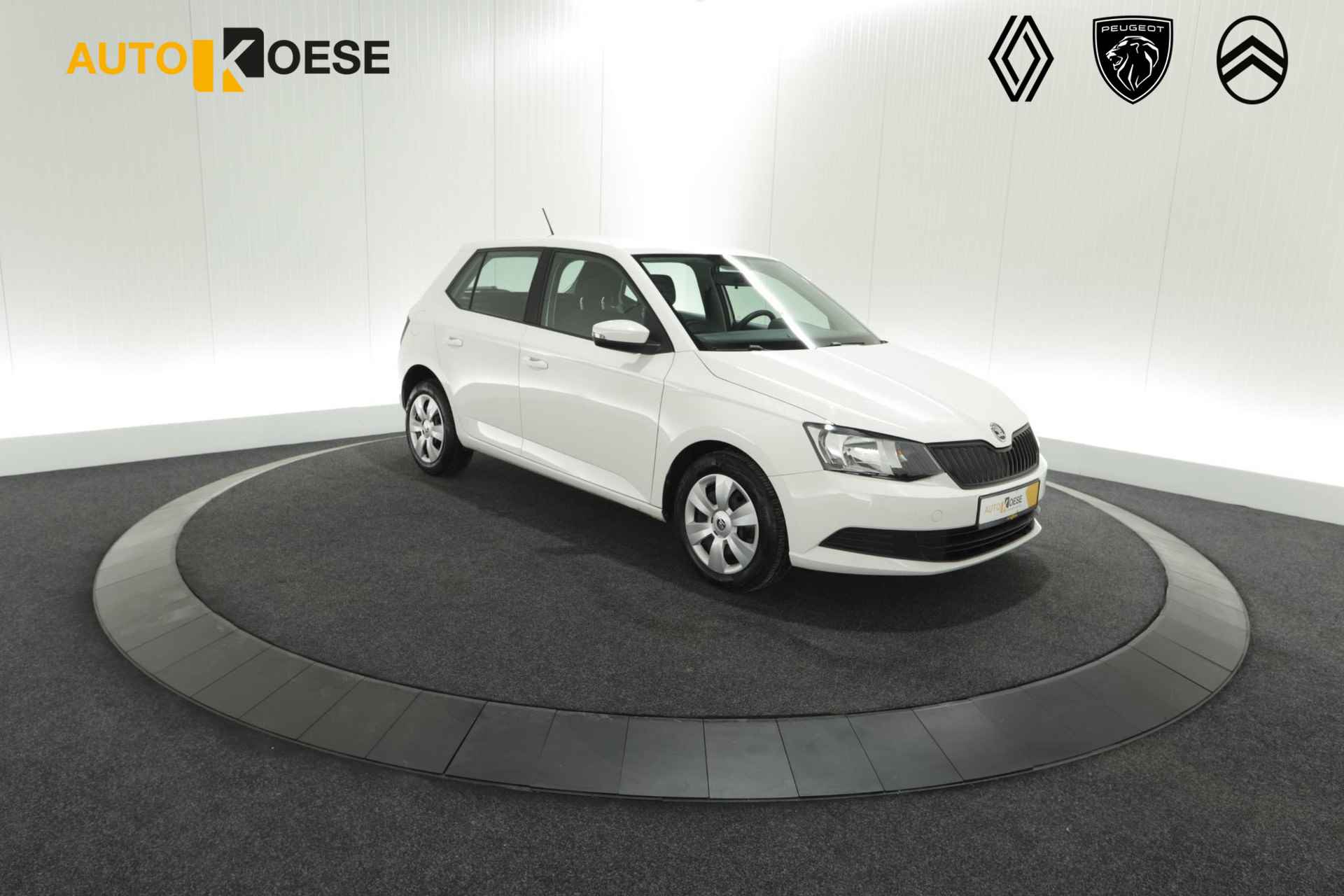 Škoda Fabia BOVAG 40-Puntencheck