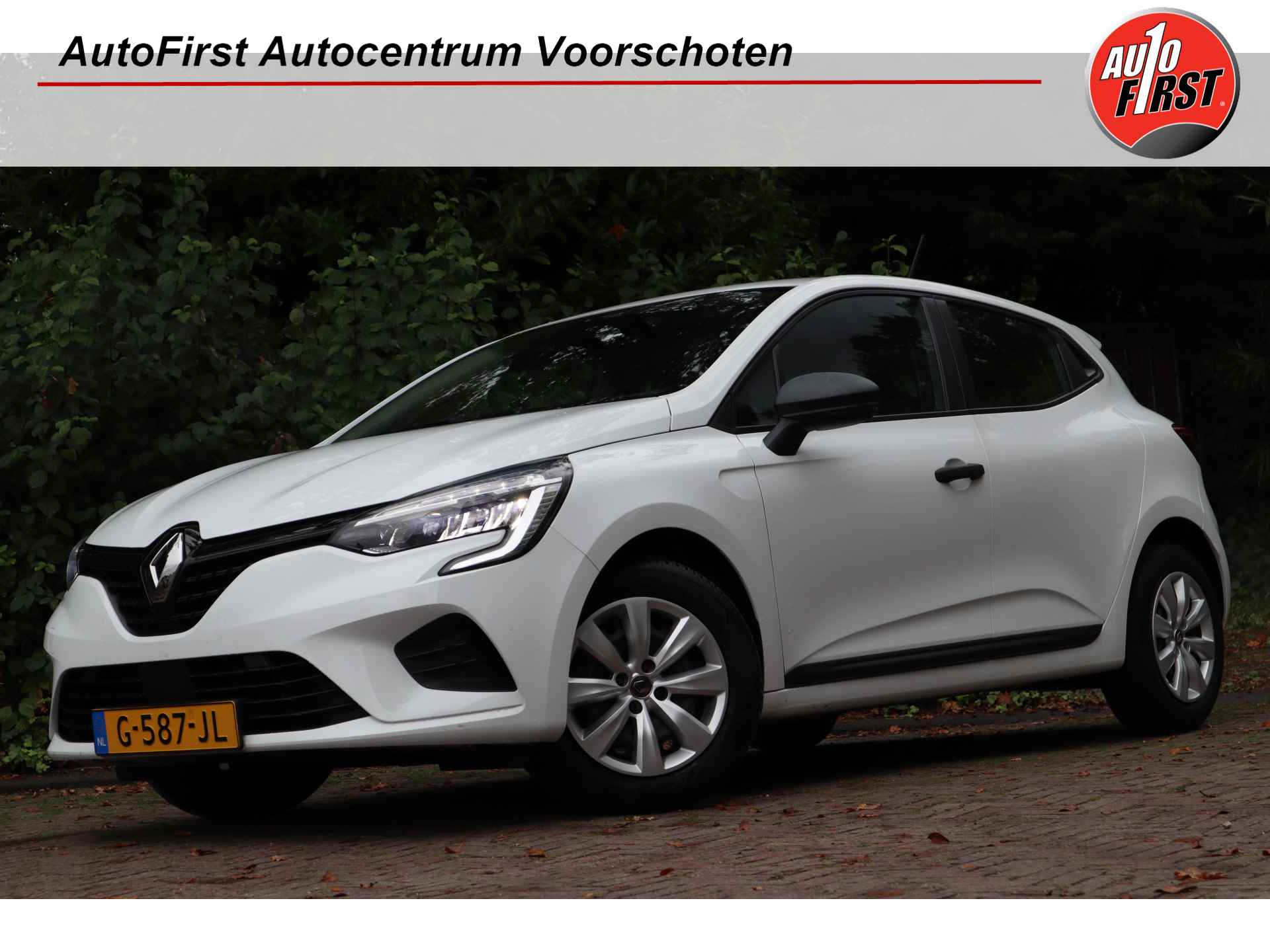 Renault Clio BOVAG 40-Puntencheck