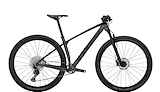 Trek Procaliber 9.5 ML Lithium GreyBlack