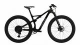 CANNONDALE 29 M Scalpel Crb 2 GRA LG Heren Gra Lg LG 2023