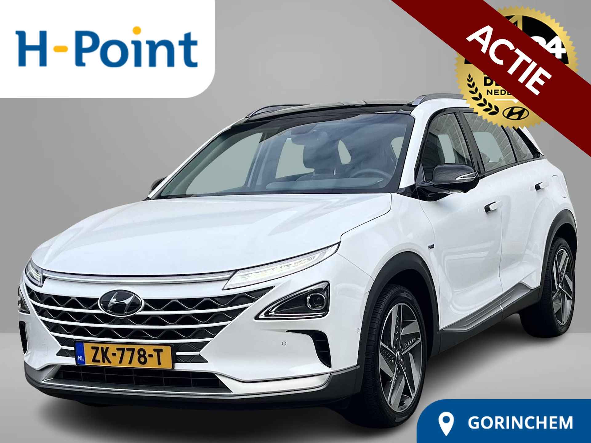 Hyundai Nexo BOVAG 40-Puntencheck