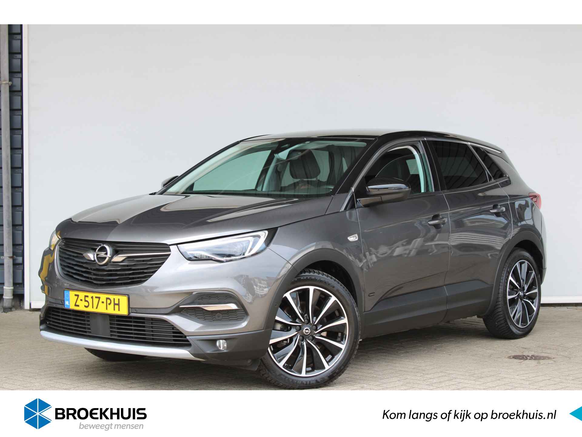 Opel Grandland X BOVAG 40-Puntencheck