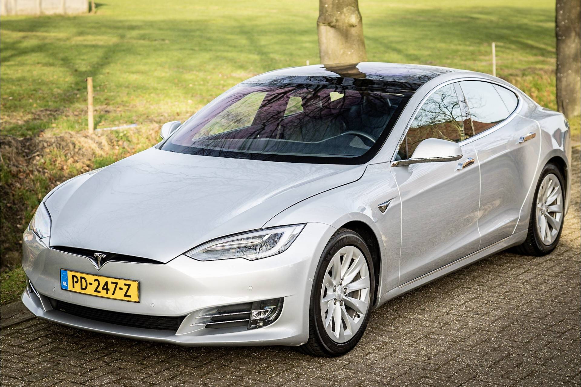 Tesla Model S 100D Carbon Enhanced Autopilot Panorama - 14/26