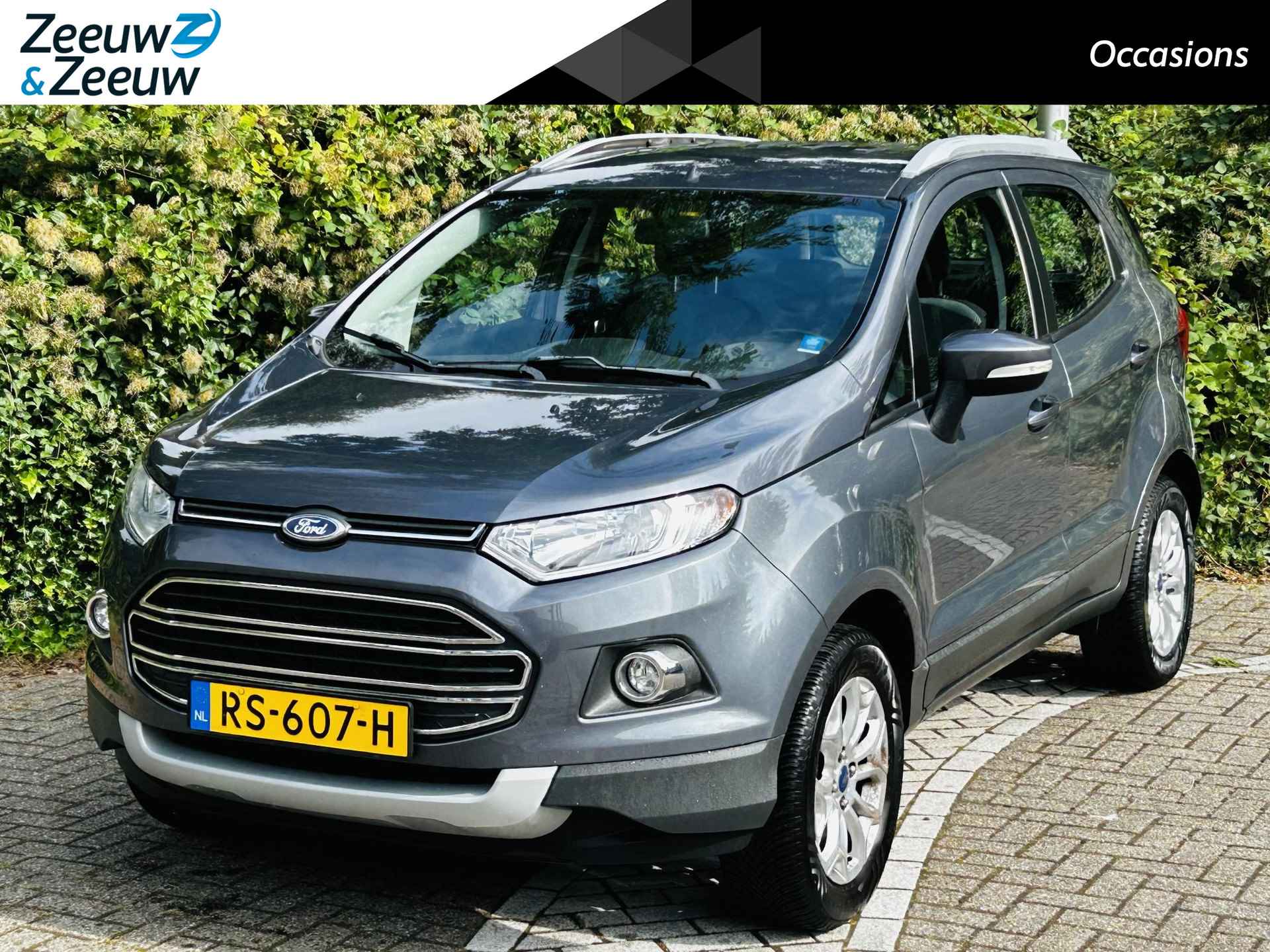 Ford EcoSport BOVAG 40-Puntencheck