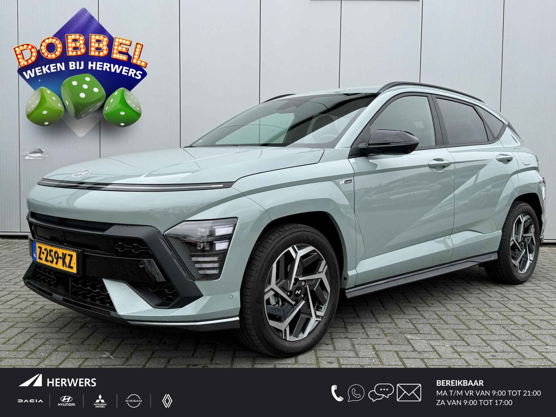 Hyundai Kona BOVAG 40-Puntencheck