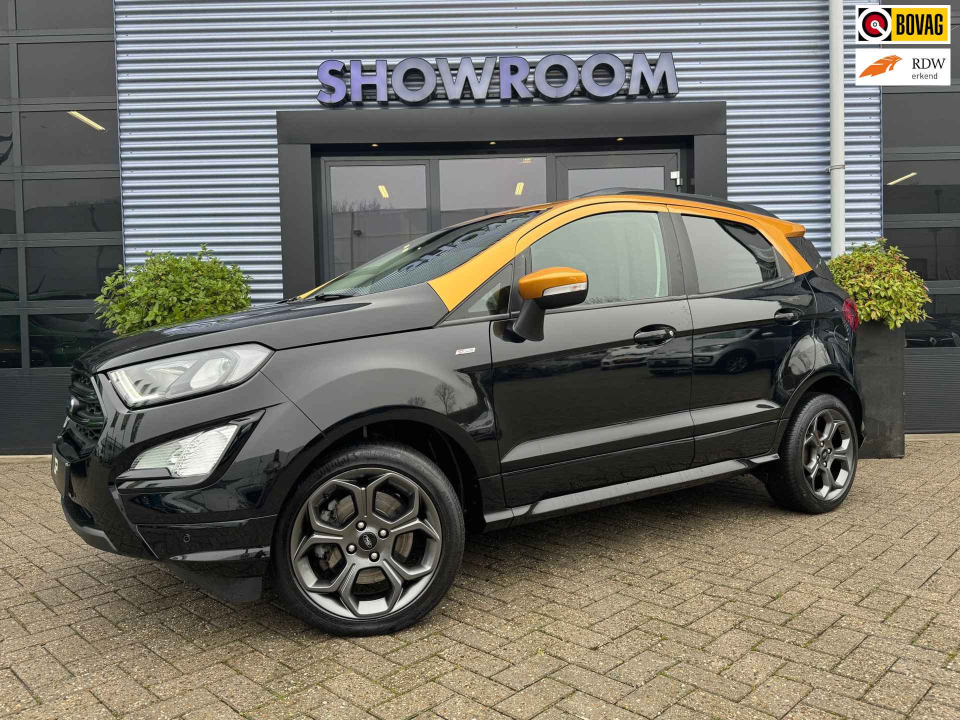 Ford EcoSport BOVAG 40-Puntencheck