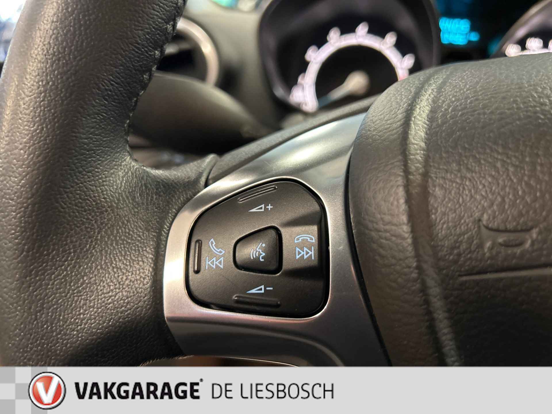 Ford Fiesta 1.0 EcoBoost Titanium/Automaat/led/camera/Sony audio - 21/27
