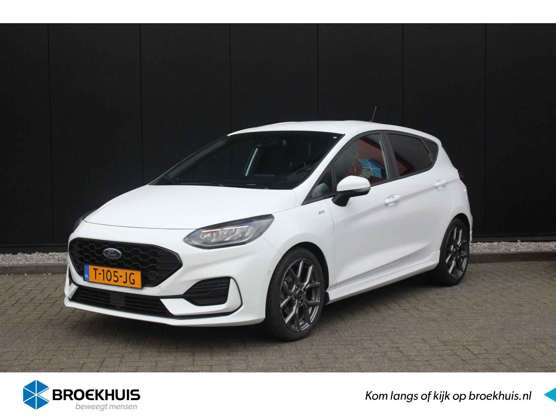 Ford Fiesta BOVAG 40-Puntencheck