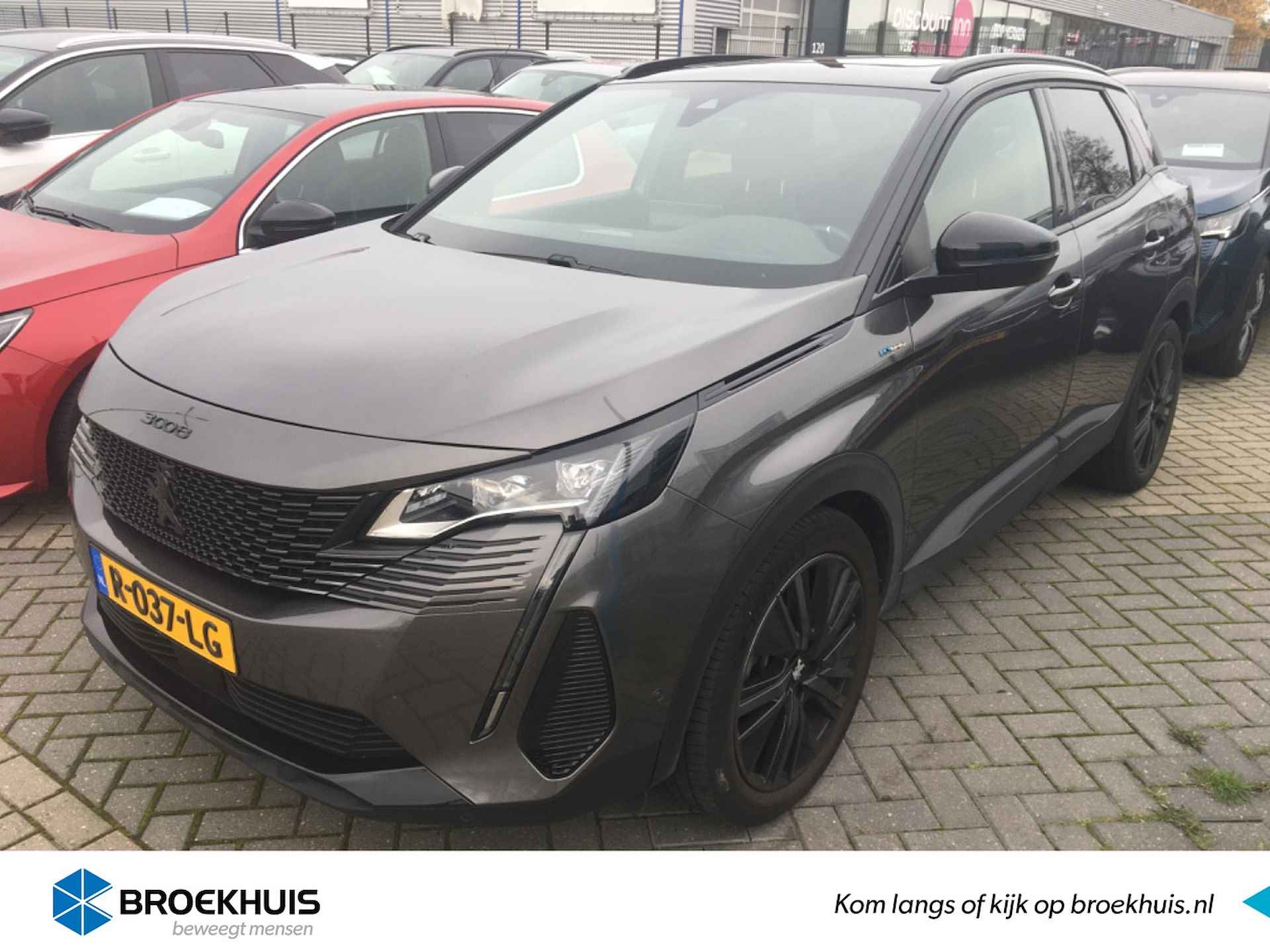 Peugeot 3008 BOVAG 40-Puntencheck