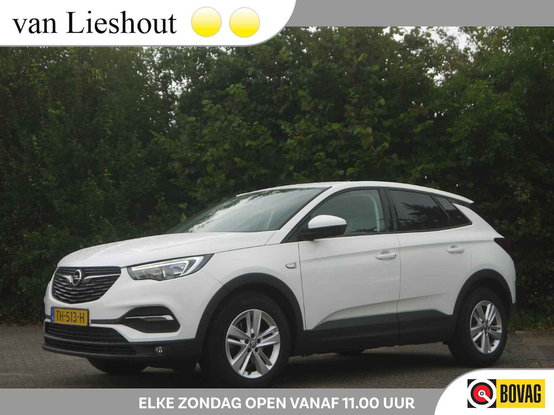 Opel Grandland X BOVAG 40-Puntencheck