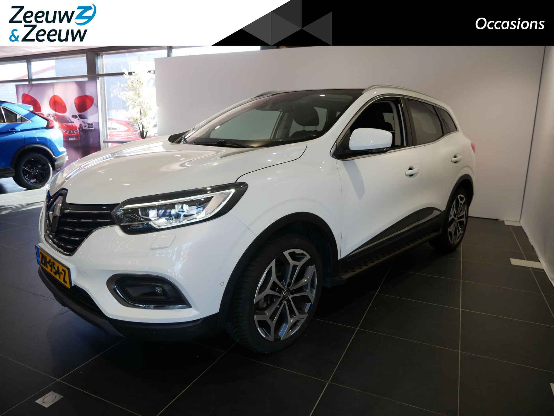 Renault Kadjar BOVAG 40-Puntencheck