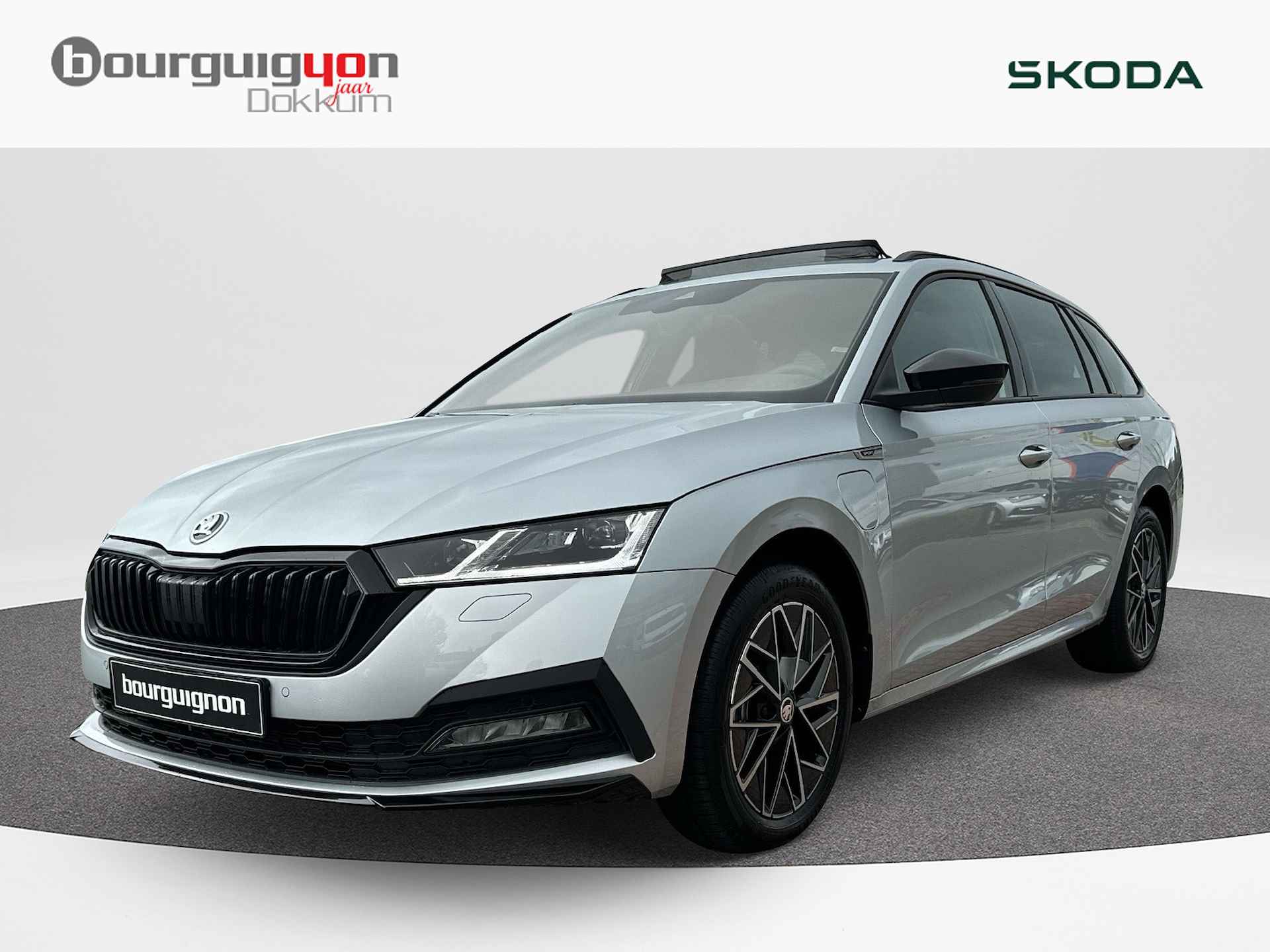 Škoda Octavia BOVAG 40-Puntencheck