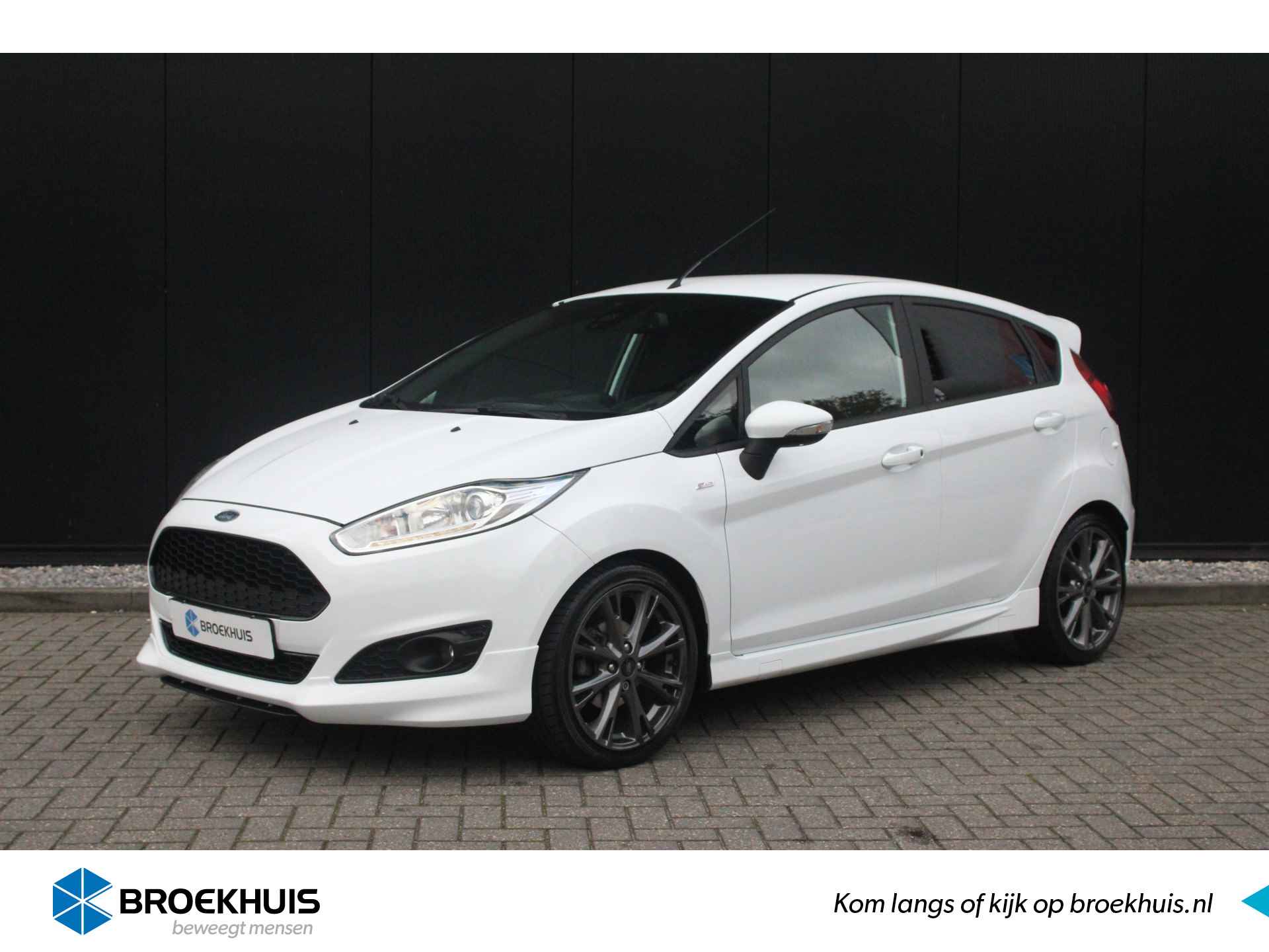 Ford Fiesta BOVAG 40-Puntencheck