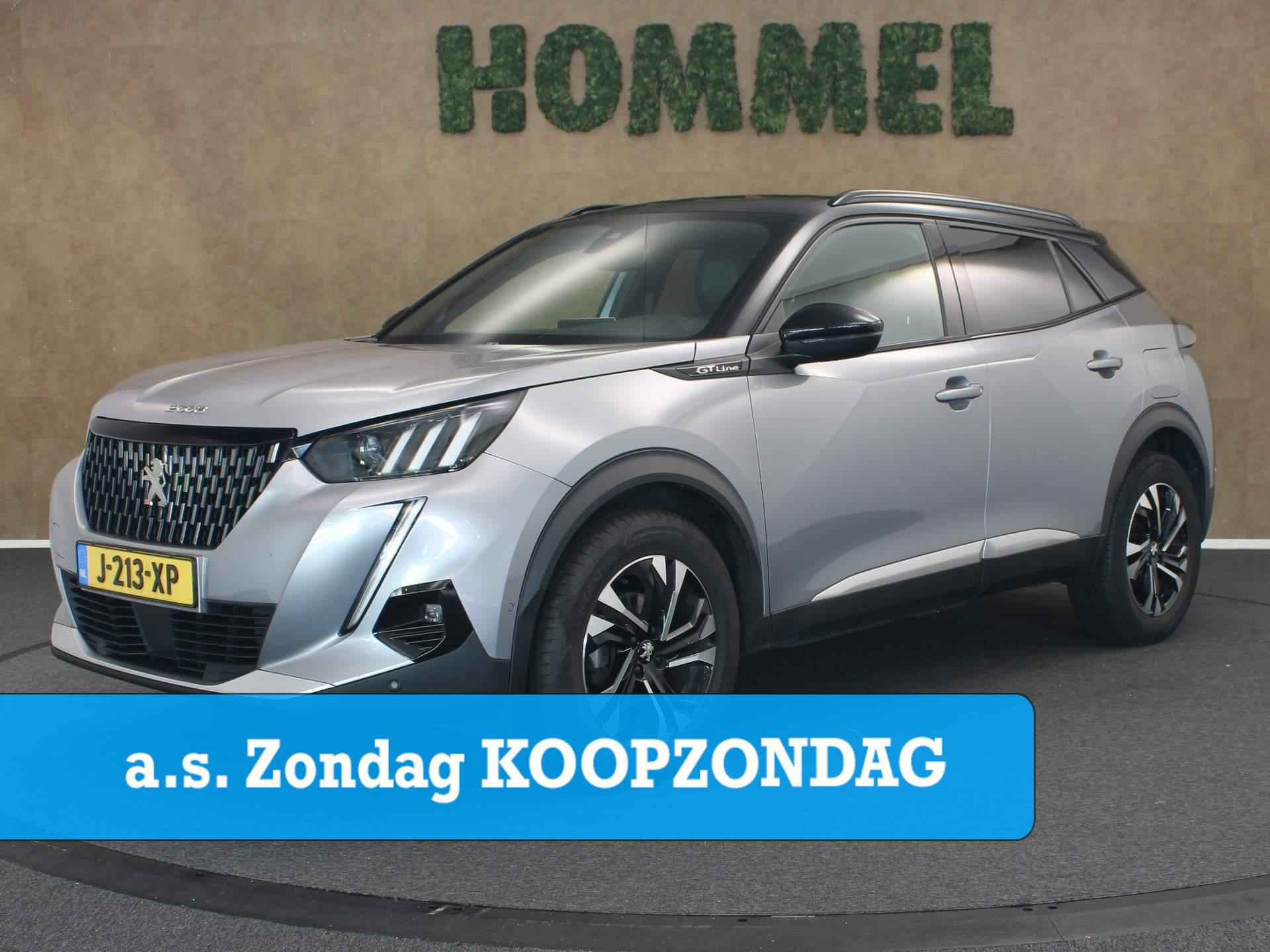 Peugeot 2008 BOVAG 40-Puntencheck