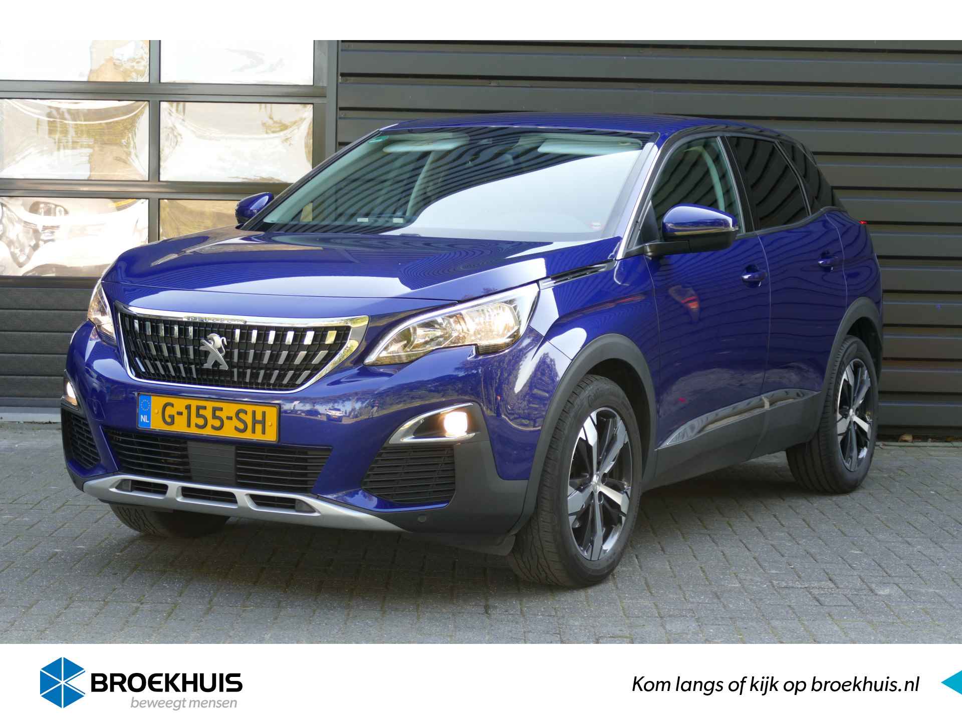 Peugeot 3008 BOVAG 40-Puntencheck