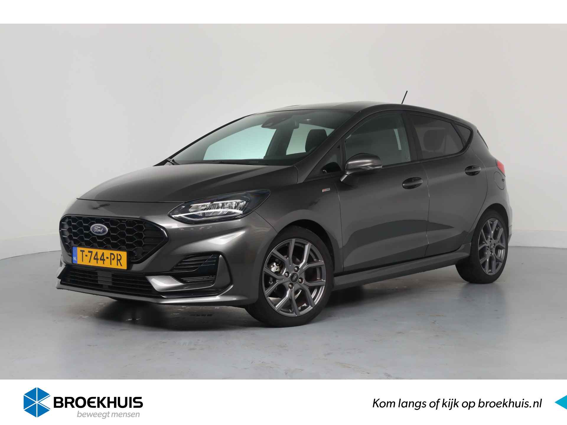 Ford Fiesta BOVAG 40-Puntencheck