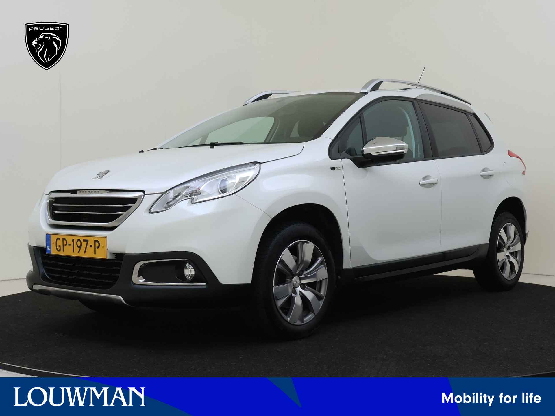 Peugeot 2008 BOVAG 40-Puntencheck