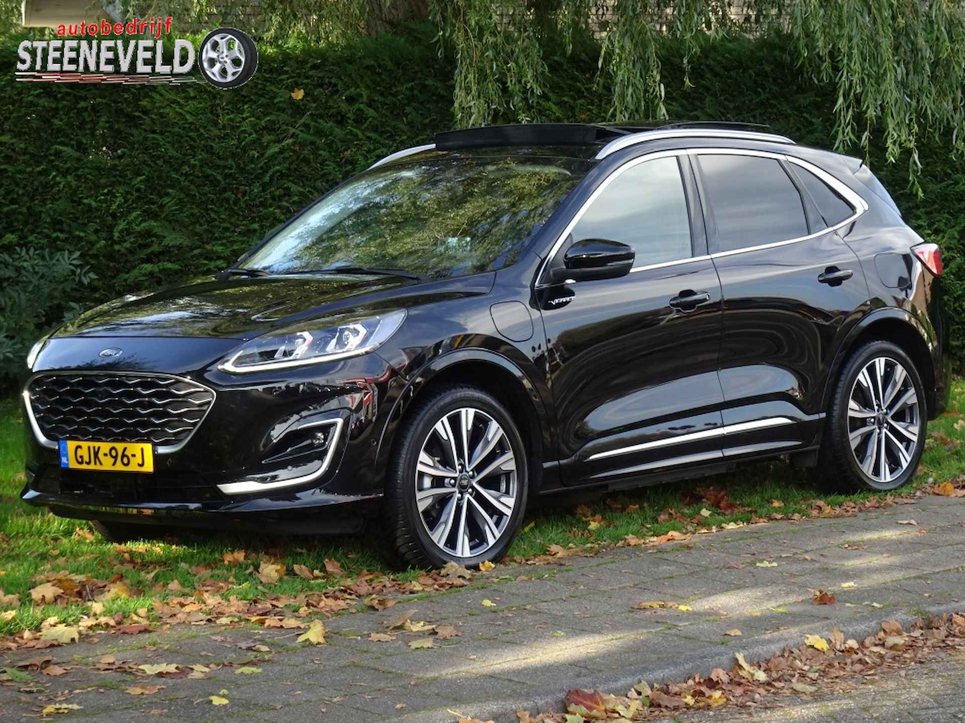 Ford Kuga BOVAG 40-Puntencheck