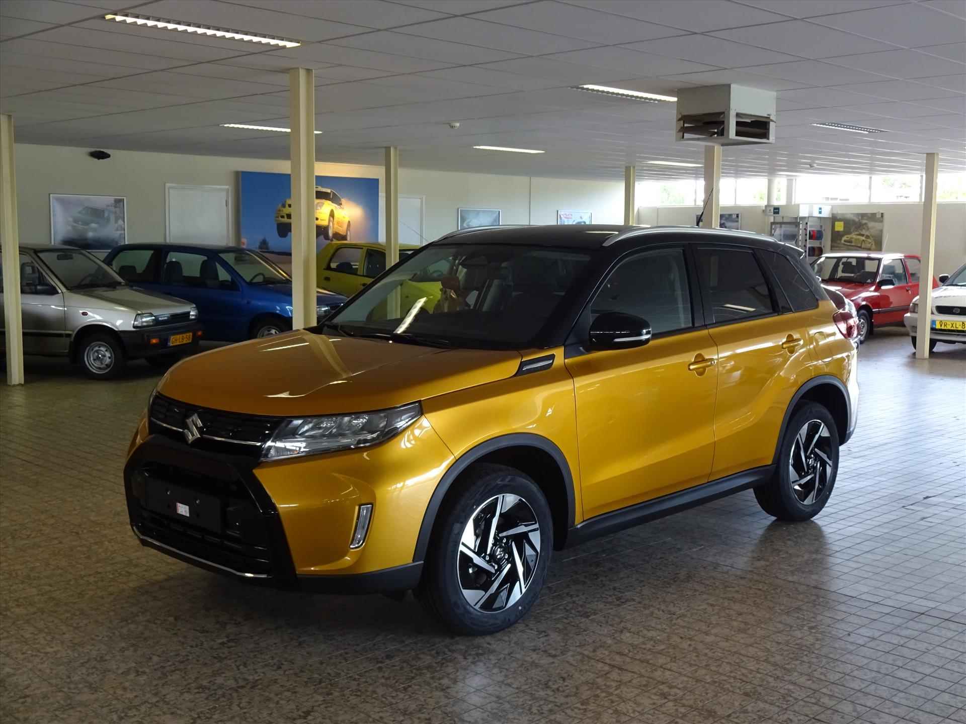 Suzuki Vitara BOVAG 40-Puntencheck