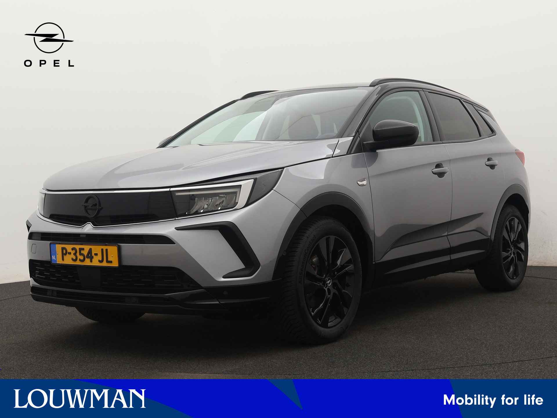 Opel Grandland X BOVAG 40-Puntencheck