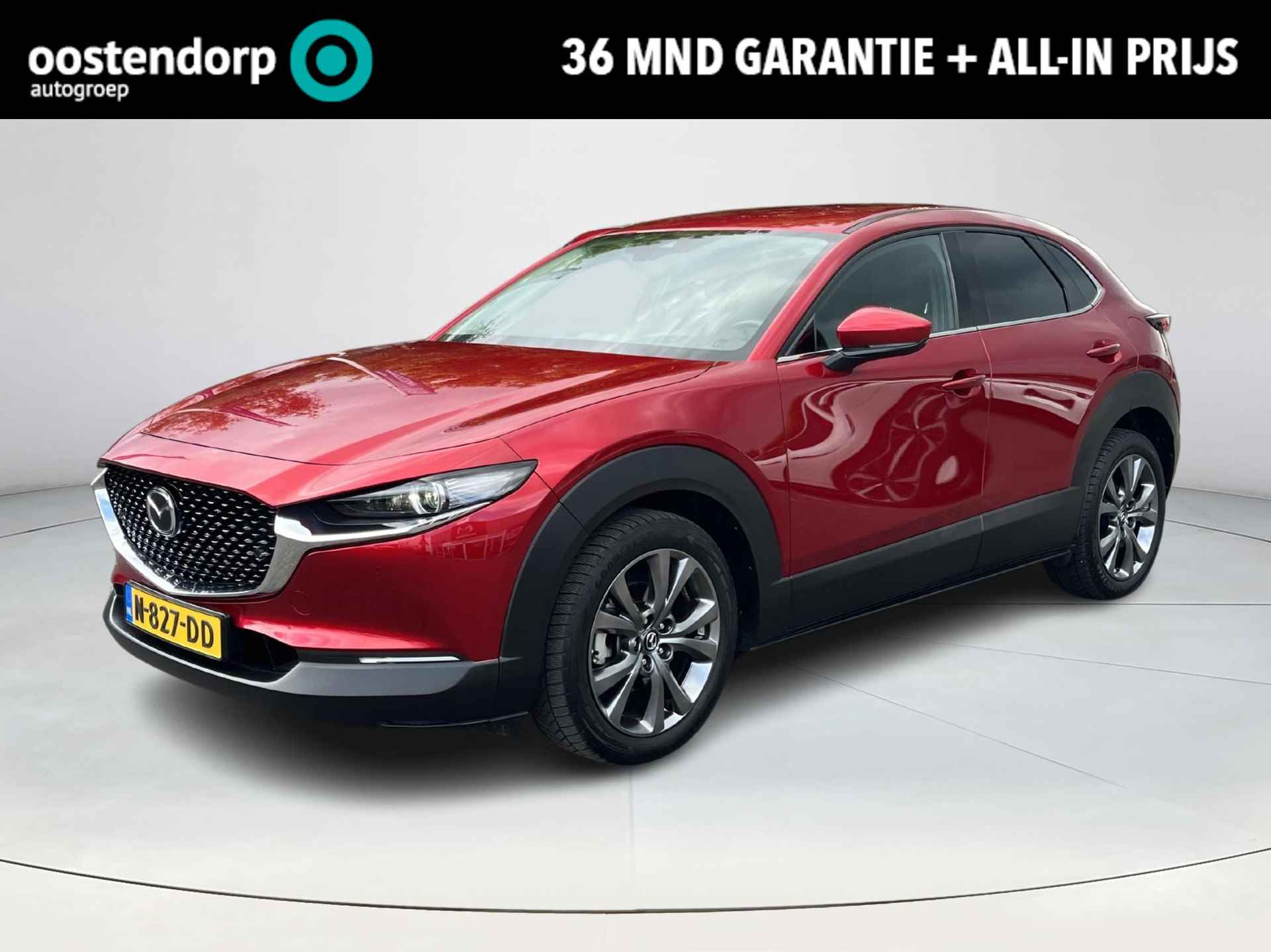 Mazda CX-30 BOVAG 40-Puntencheck