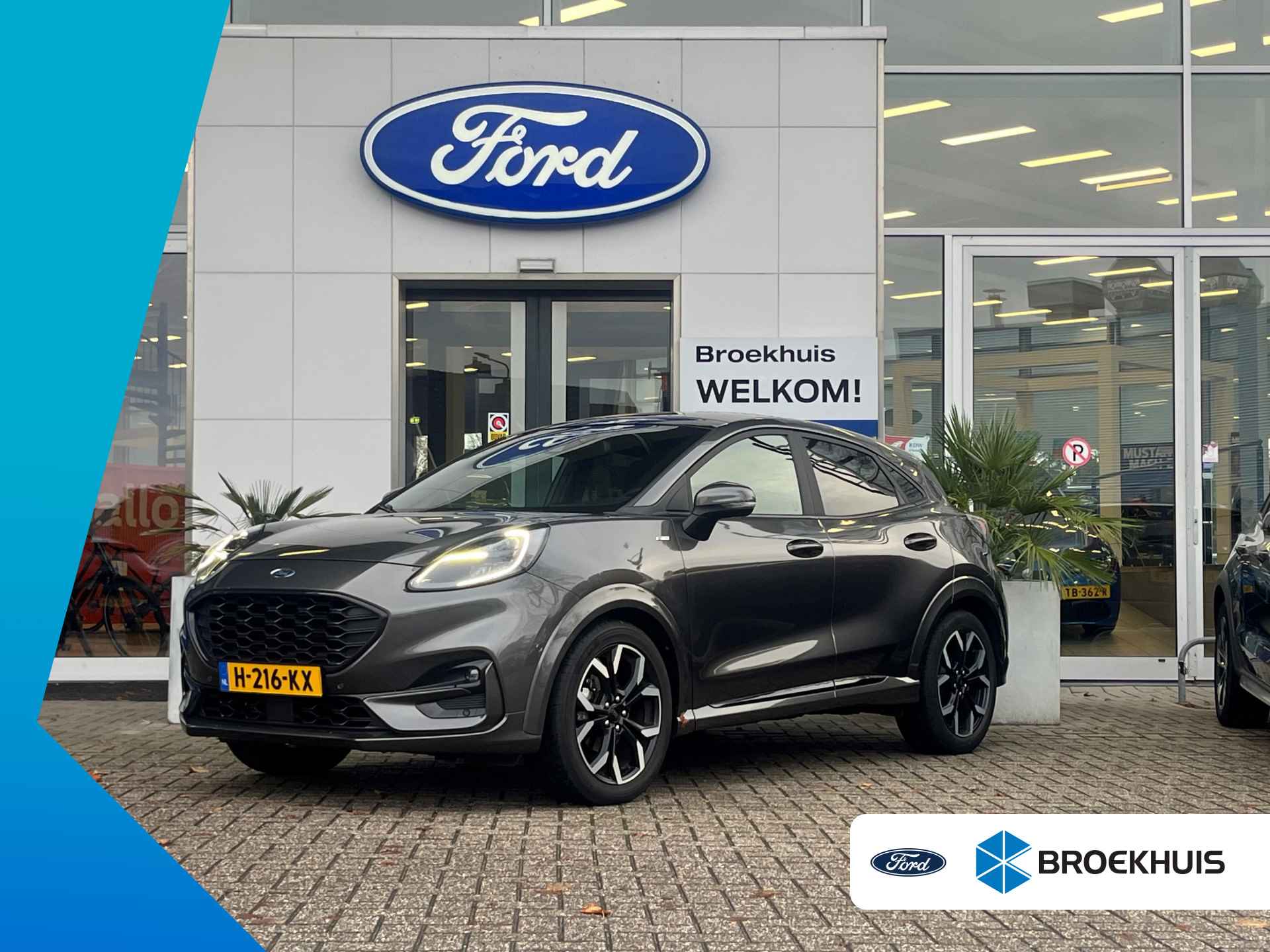 Ford Puma BOVAG 40-Puntencheck