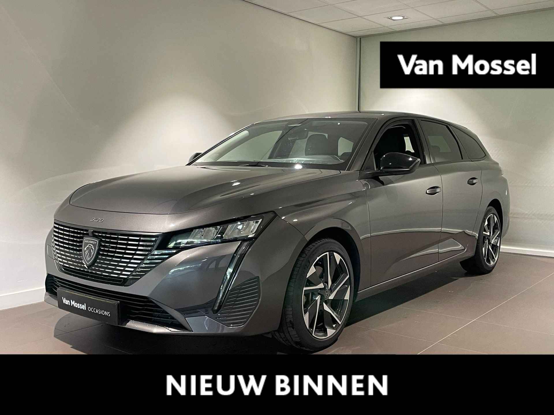 Peugeot 308 BOVAG 40-Puntencheck