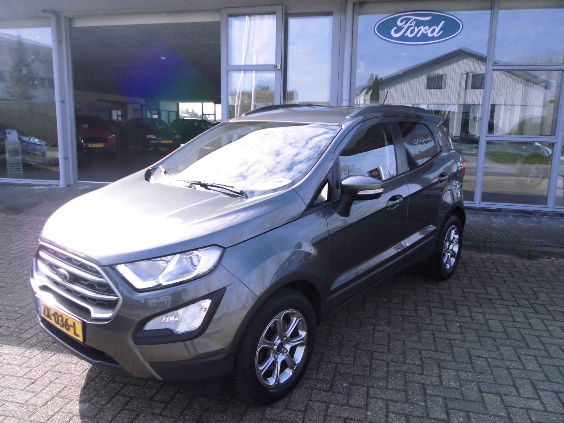 Ford EcoSport 125pk EcoBoost Trend Ultimate navi-cruise-pdc-privacyglass - 3/54