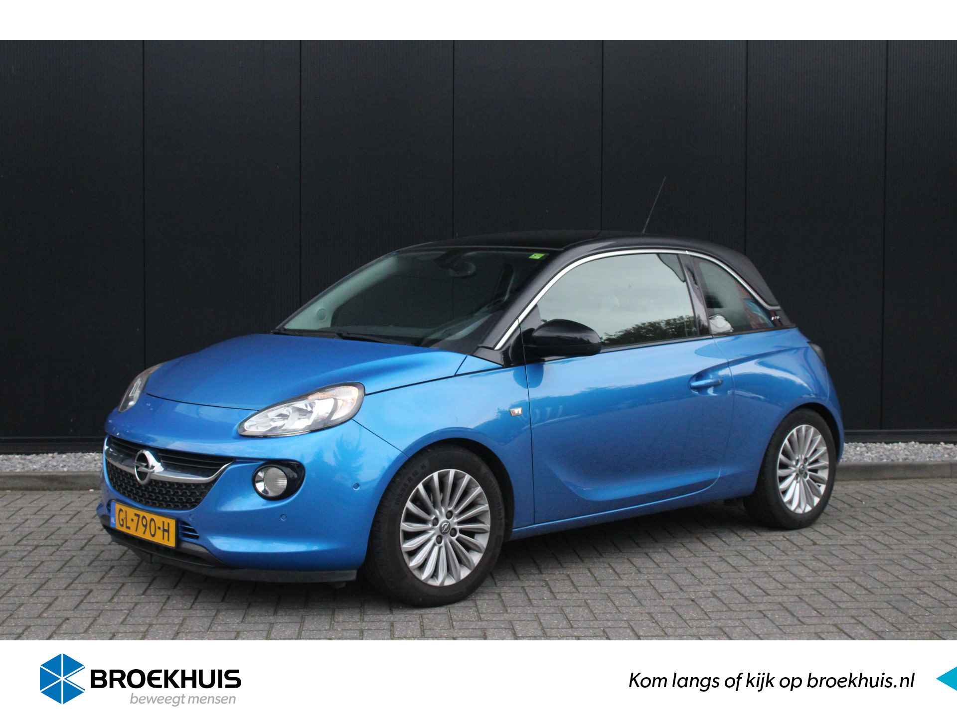 Opel Adam BOVAG 40-Puntencheck