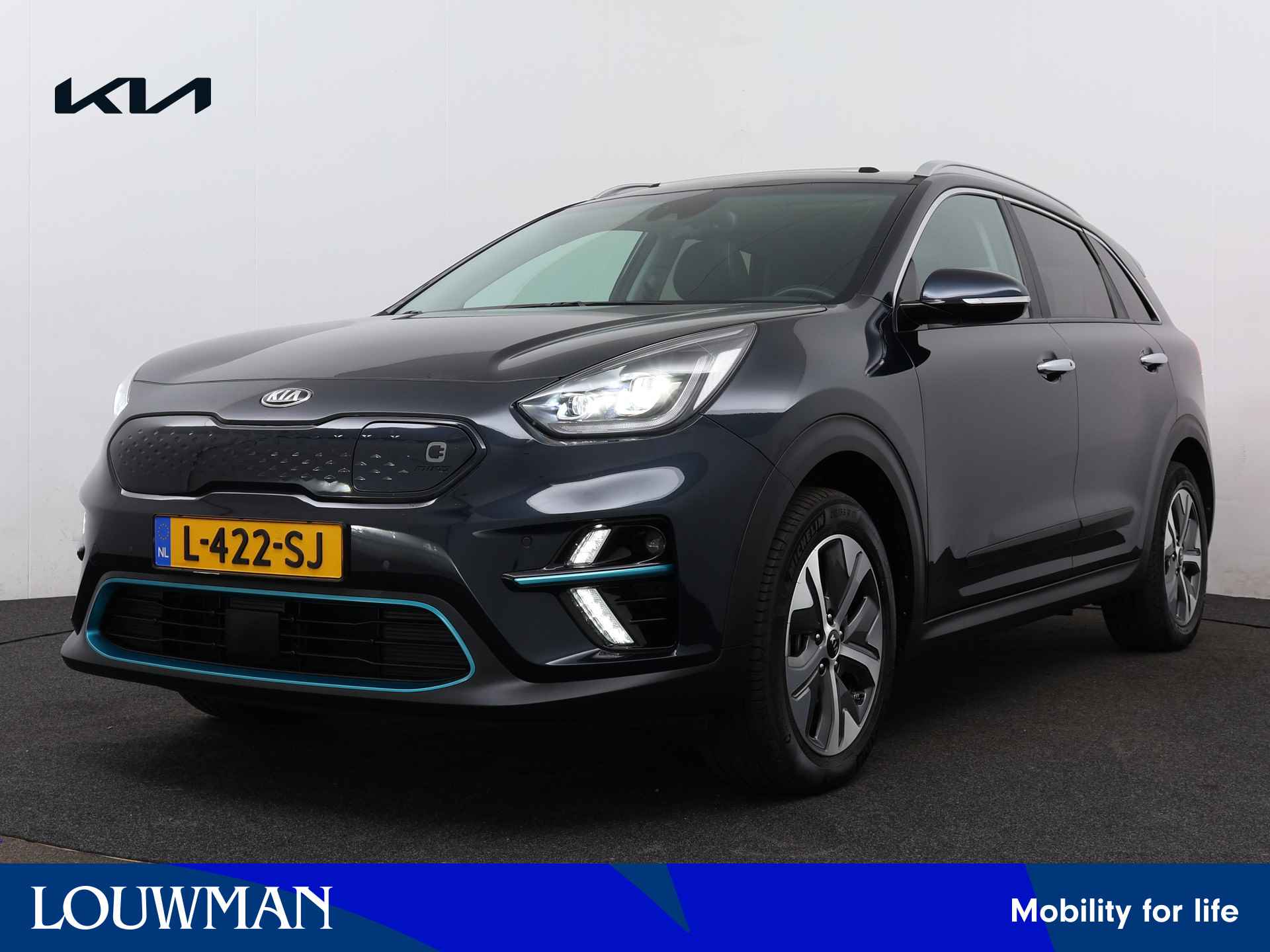 Kia e-Niro BOVAG 40-Puntencheck