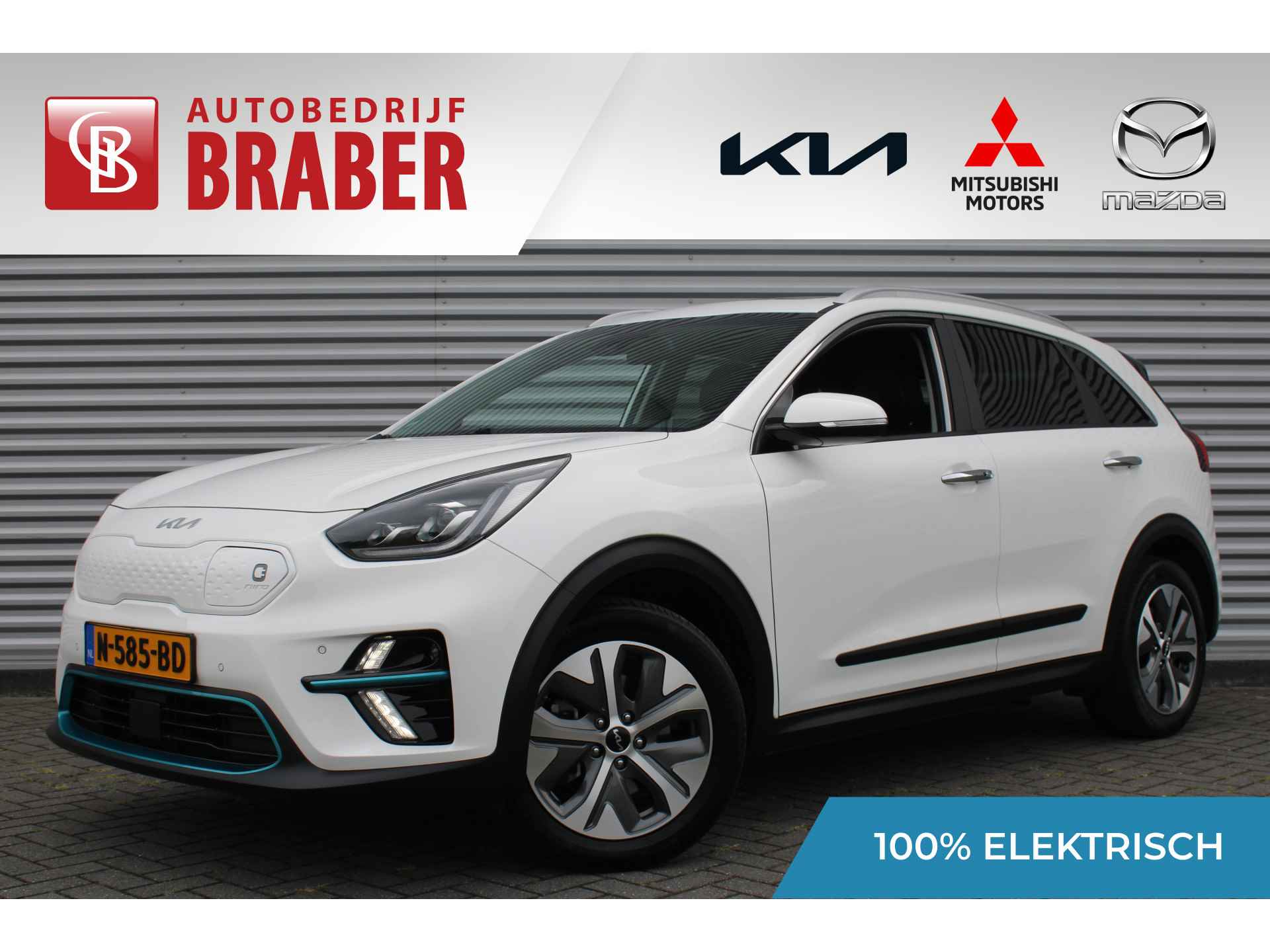 Kia e-Niro BOVAG 40-Puntencheck