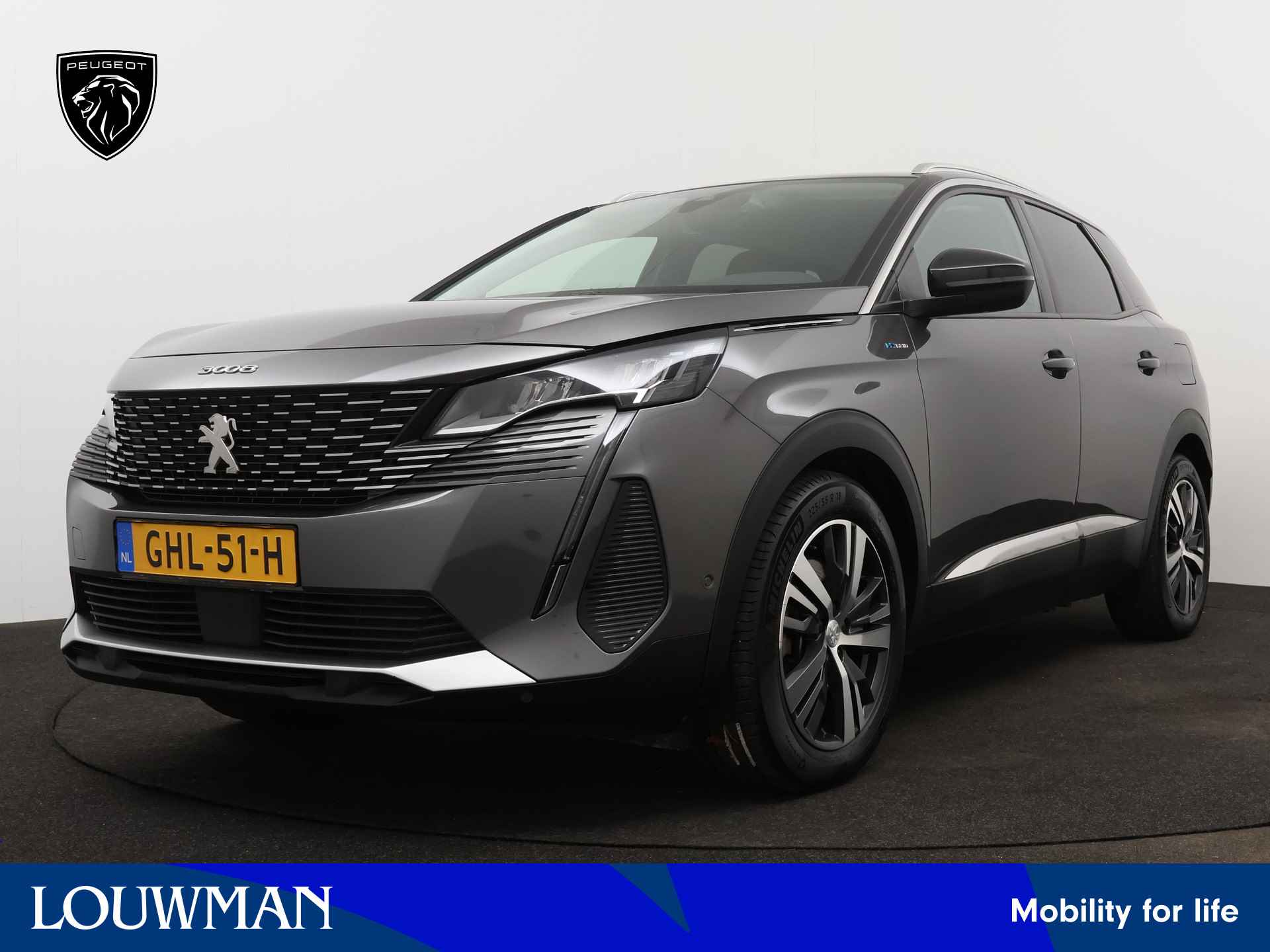 Peugeot 3008 BOVAG 40-Puntencheck