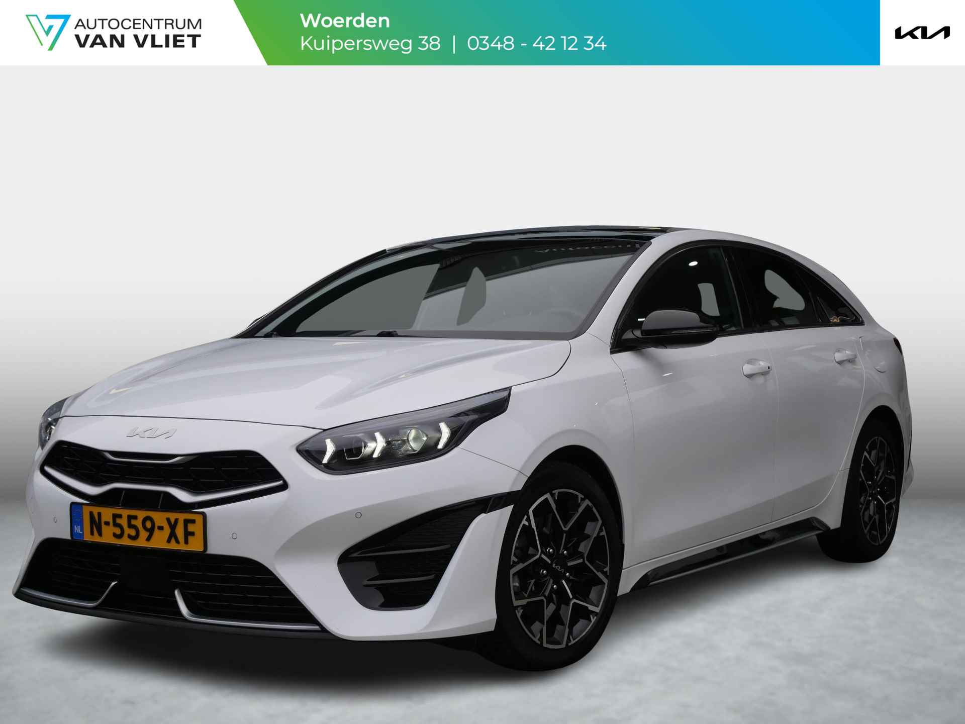 Kia Proceed BOVAG 40-Puntencheck