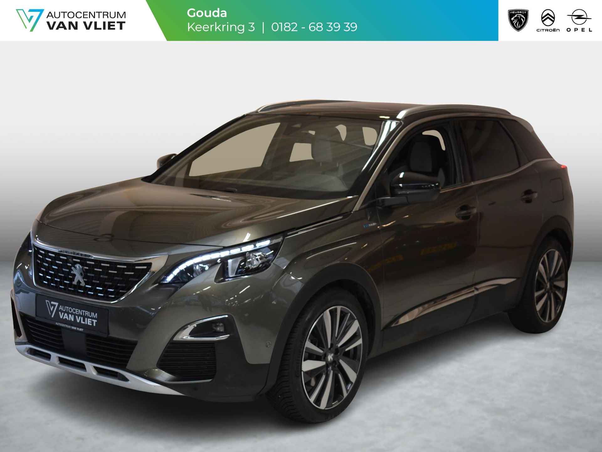 Peugeot 3008 BOVAG 40-Puntencheck