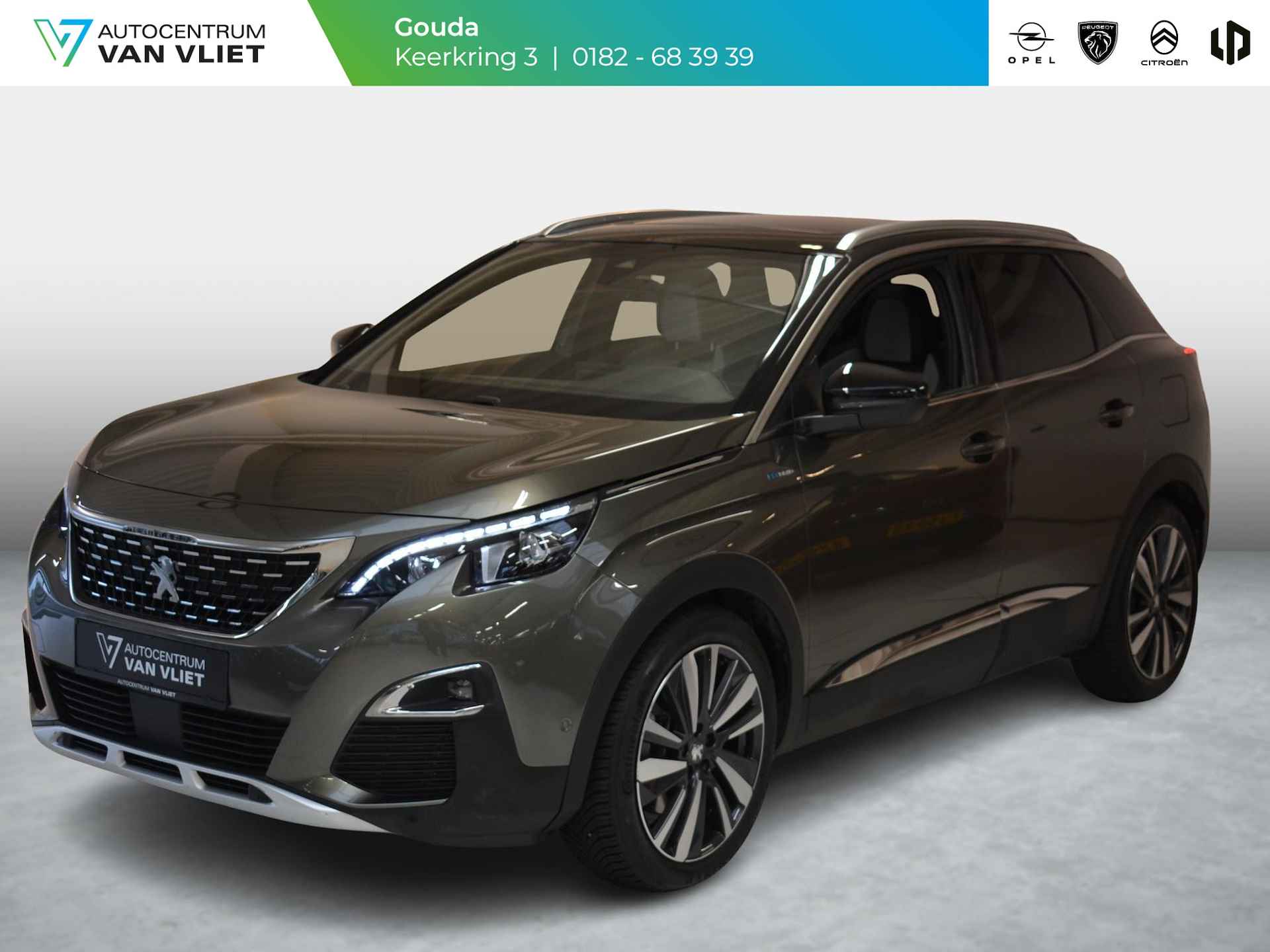 Peugeot 3008 BOVAG 40-Puntencheck