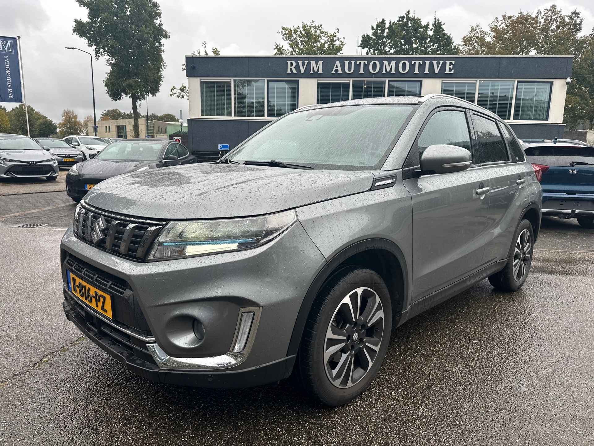 Suzuki Vitara BOVAG 40-Puntencheck