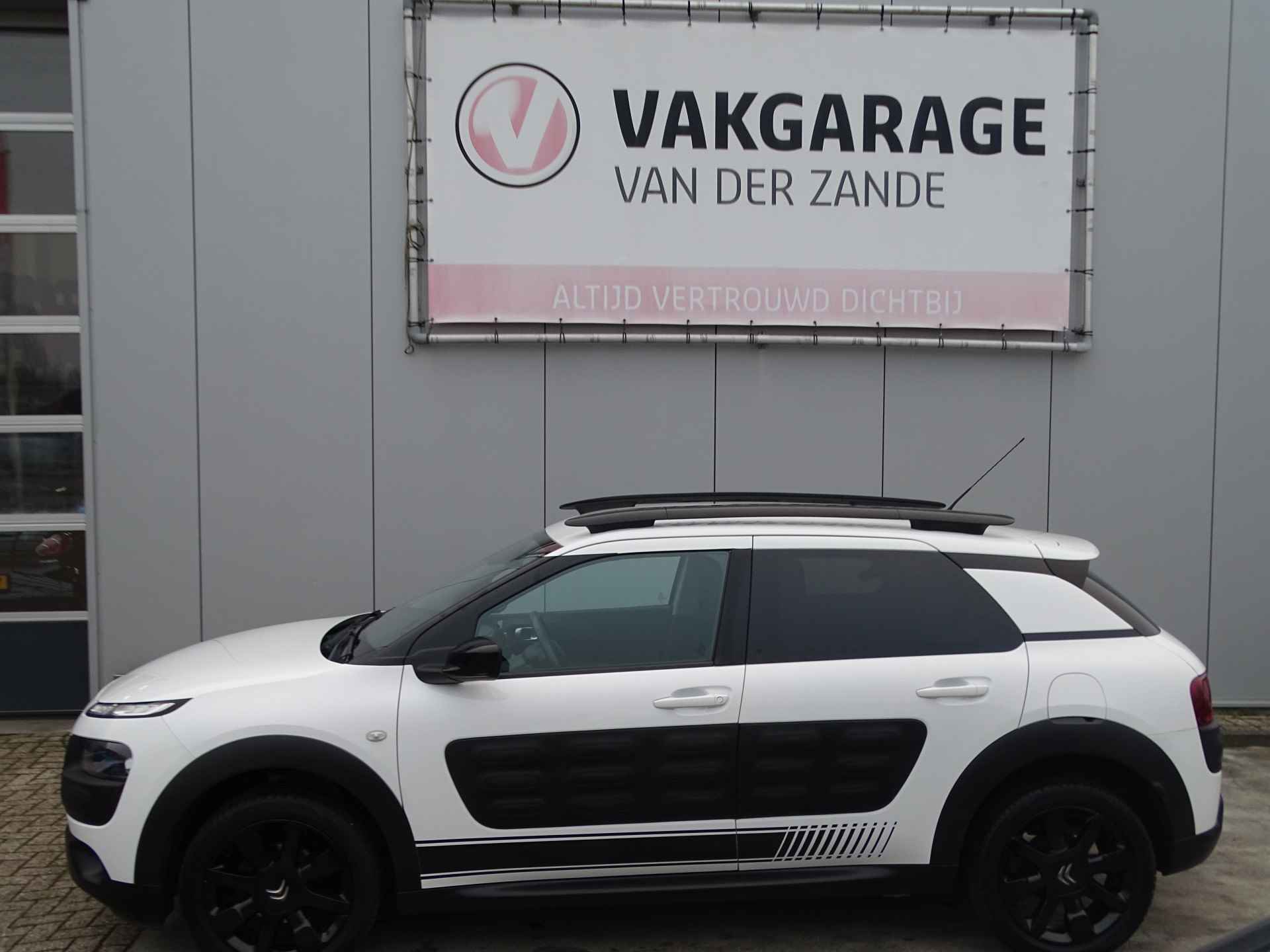 Citroën C4 Cactus 1.2 Shine, Cruise Control, Camera, Navi, PDC, NL/NAP! - 21/66