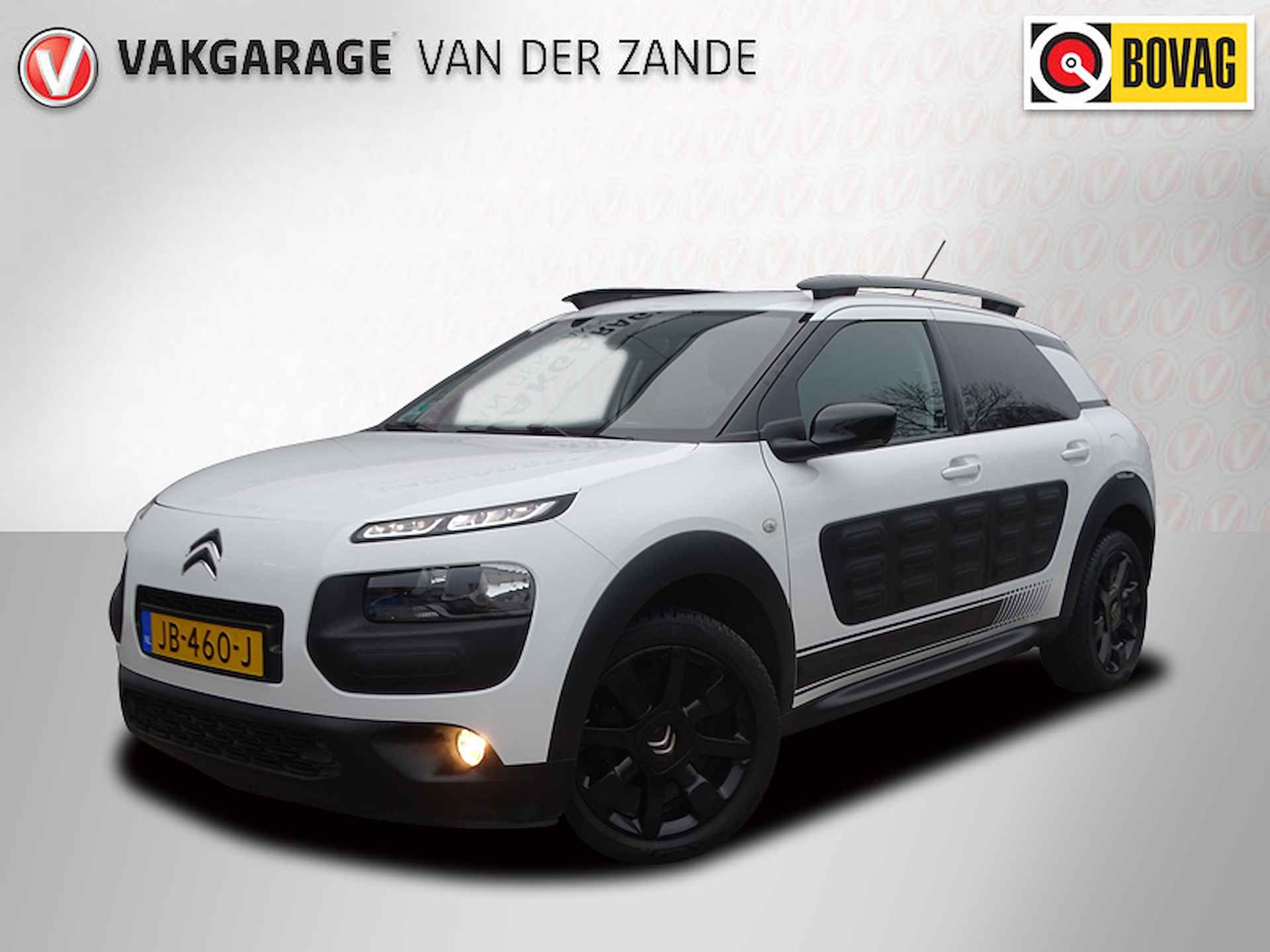 Citroën C4 Cactus BOVAG 40-Puntencheck