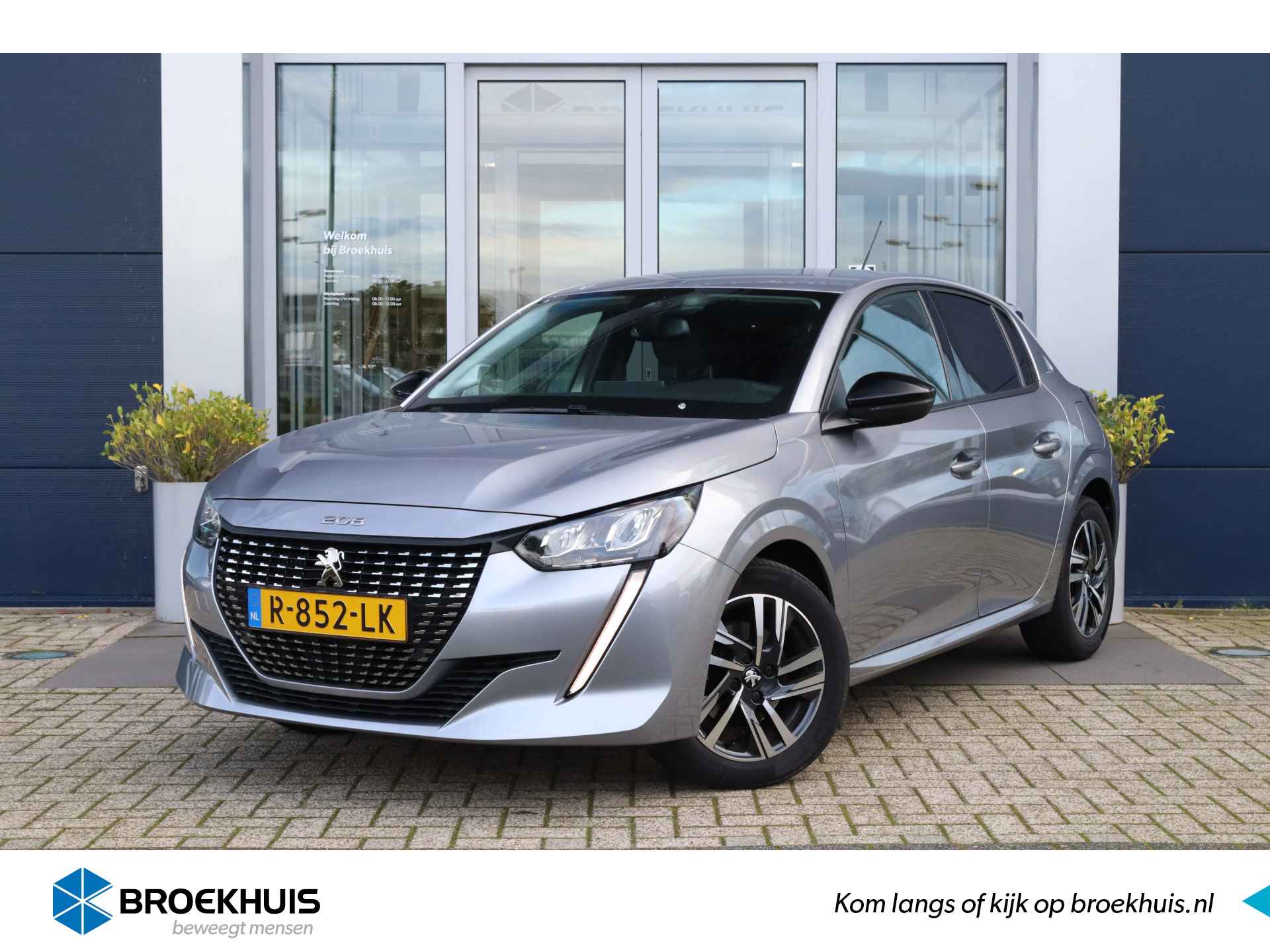 Peugeot 208 BOVAG 40-Puntencheck