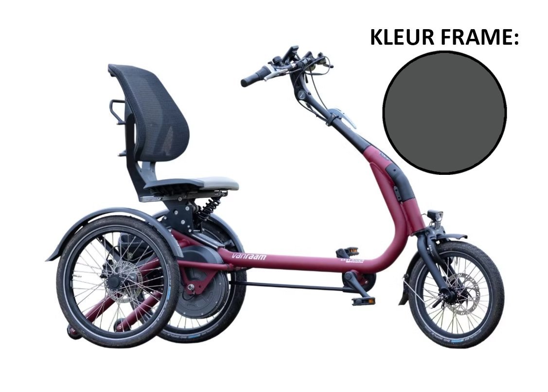 Van Raam Easy Rider Compact grijs 880Wh Verkeersgrijs B mat Standaard 2024