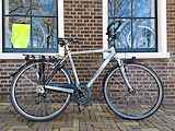 Koga Confidence Heren grijs 57cm