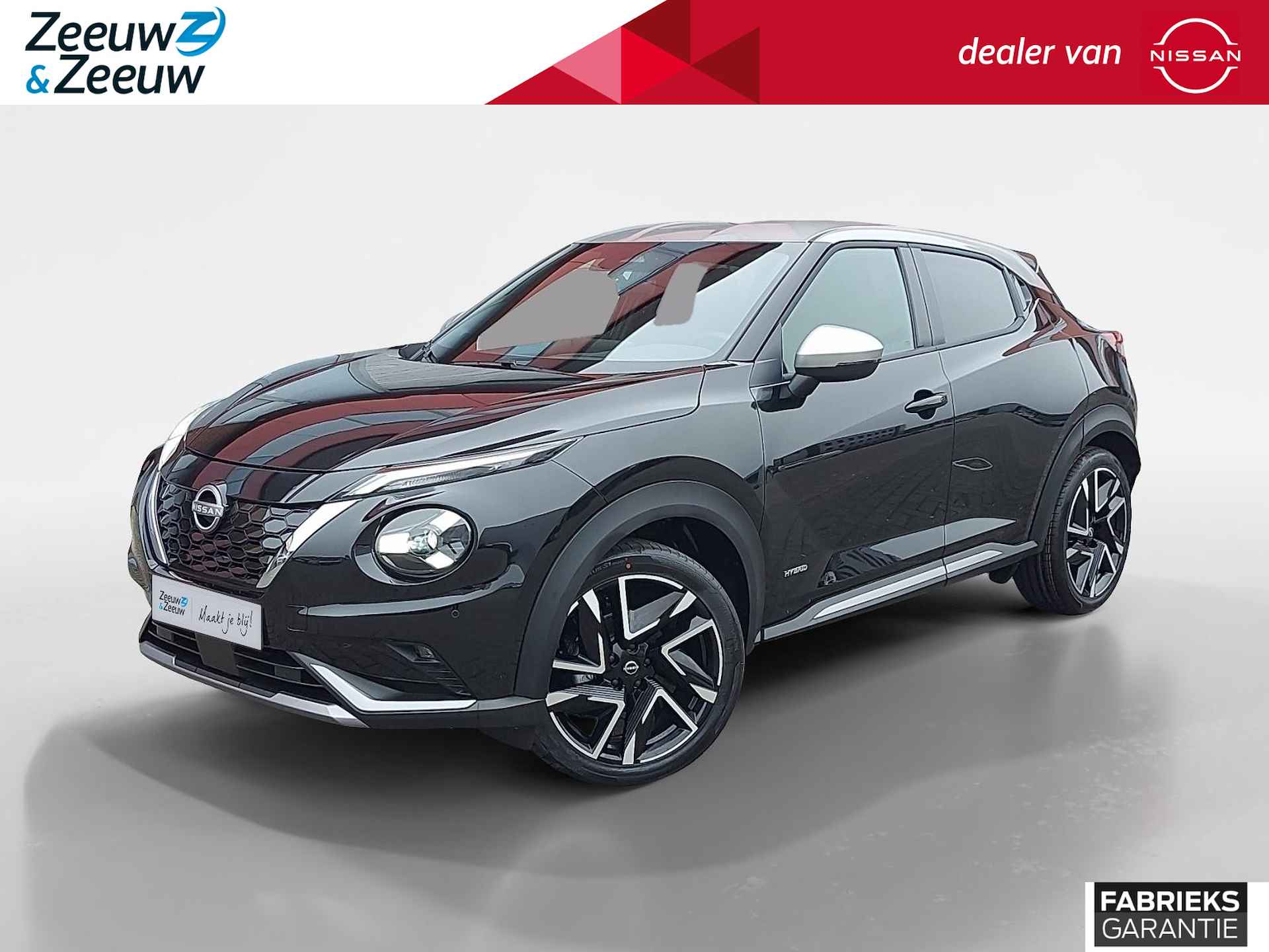 Nissan Juke BOVAG 40-Puntencheck