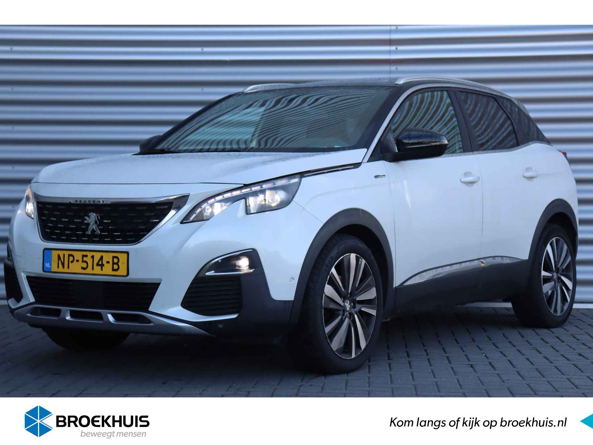 Peugeot 3008 BOVAG 40-Puntencheck