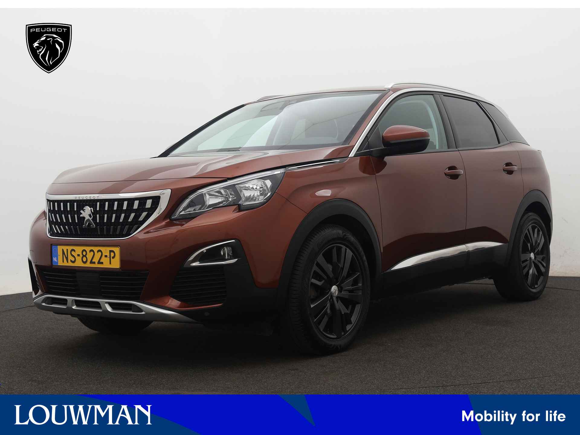 Peugeot 3008 BOVAG 40-Puntencheck