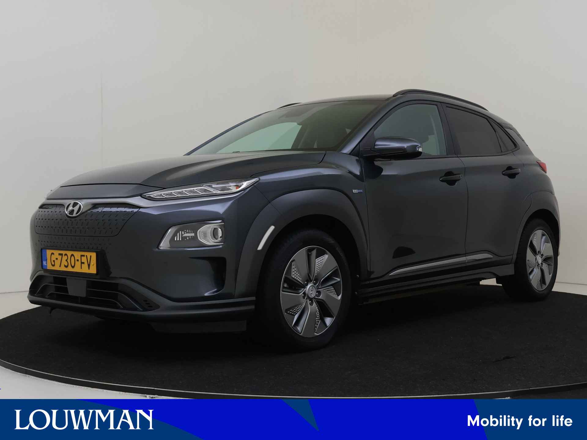 Hyundai Kona BOVAG 40-Puntencheck