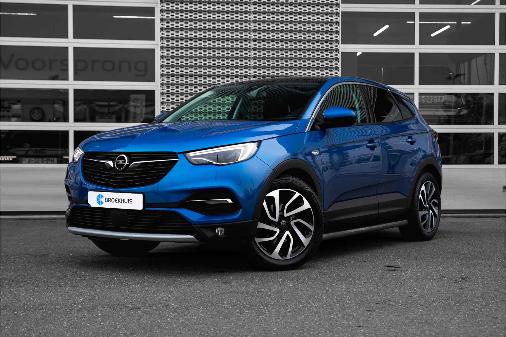 Opel Grandland X BOVAG 40-Puntencheck