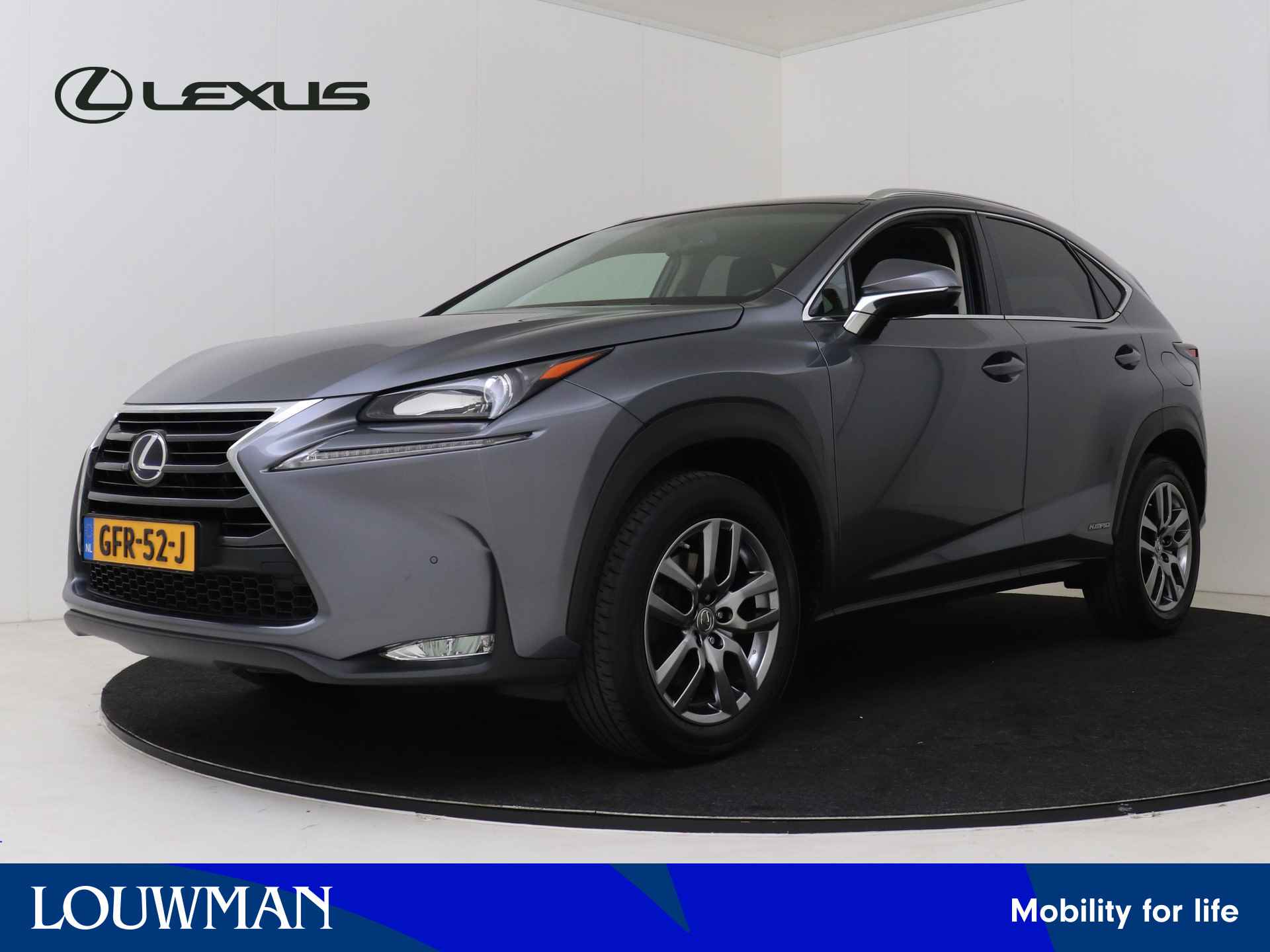 Lexus NX BOVAG 40-Puntencheck